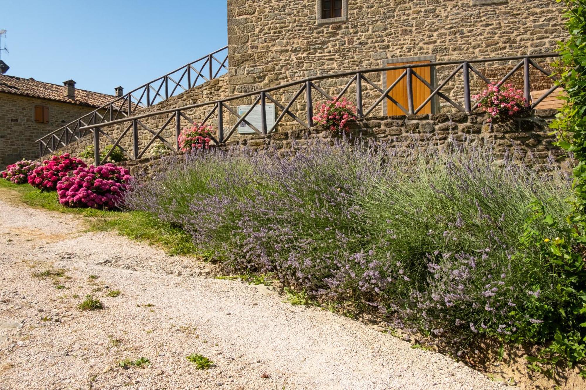 Terrazza Sul Parco