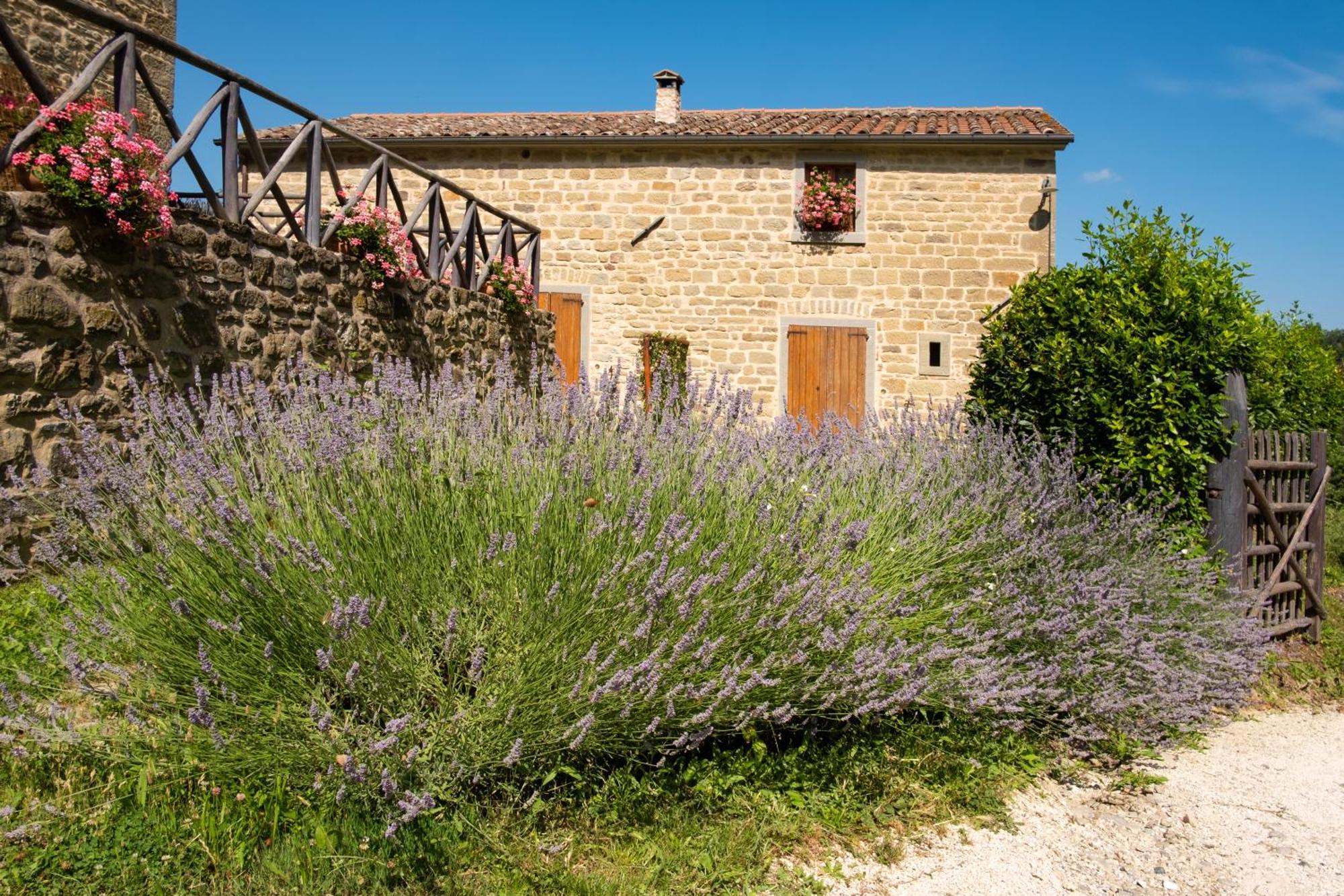 Appartamento Terrazza Sul Parco
