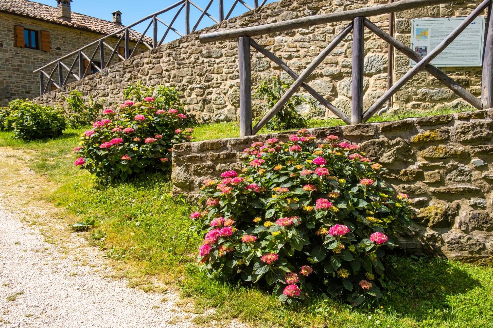 Appartamento Terrazza Sul Parco Bagno di Romagna